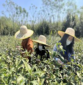 3EEB1B31F81B0FC963A019137F51DF06